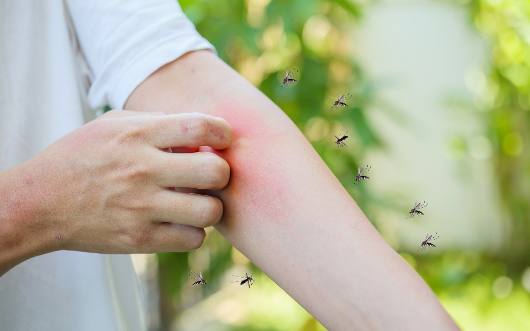 Urgent Care Mandeville